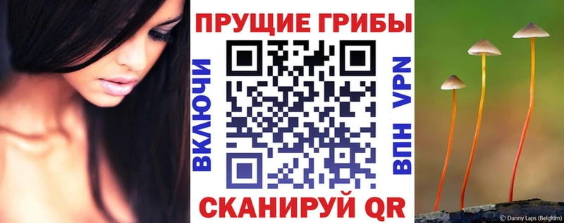 Галлюциногенные грибы GOLDEN TEACHER  Губкинский 